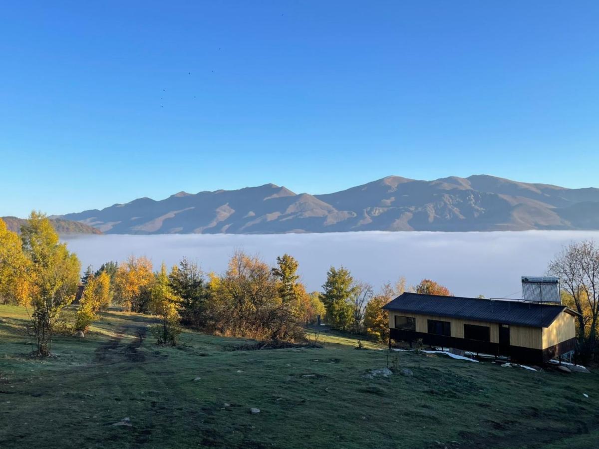 Glamping Wolf Mount Villa Margahovit Rom bilde
