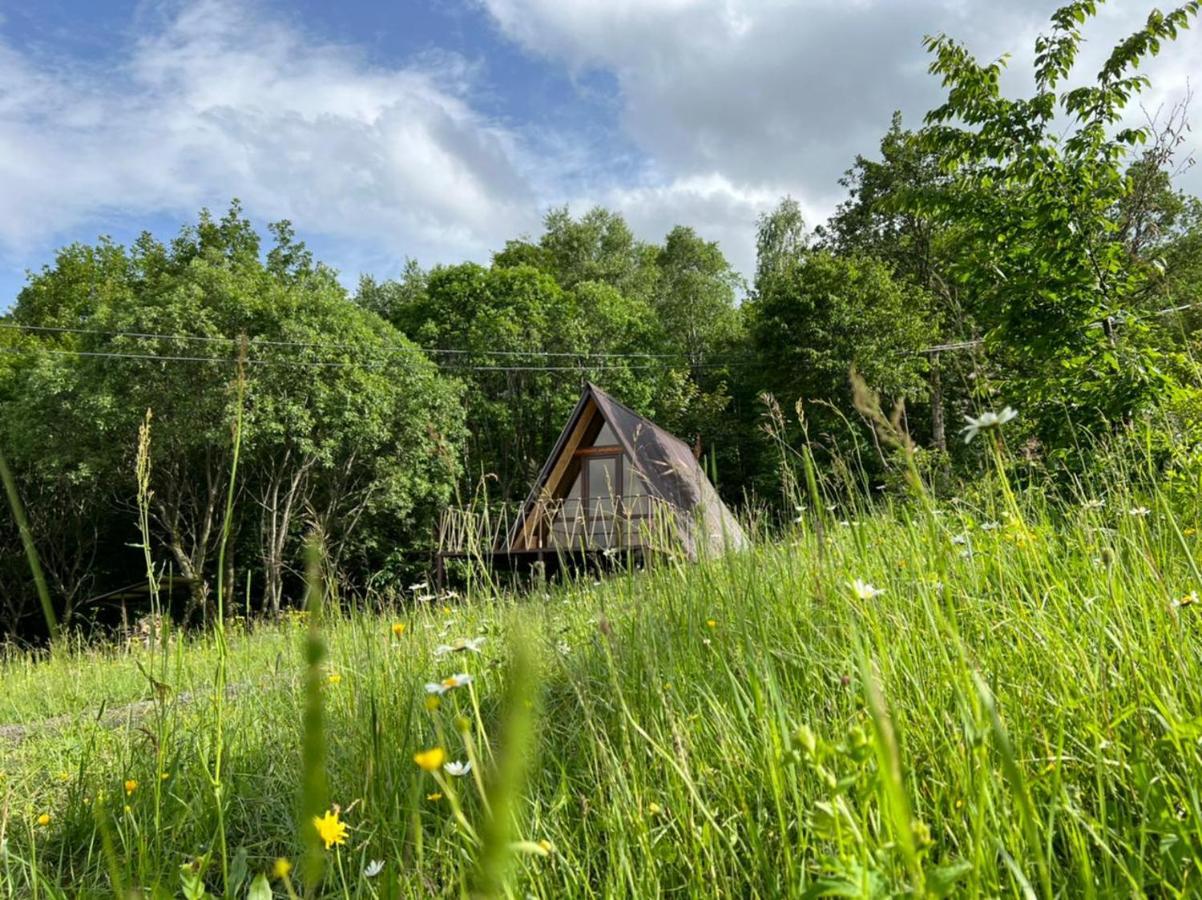 Glamping Wolf Mount Villa Margahovit Rom bilde