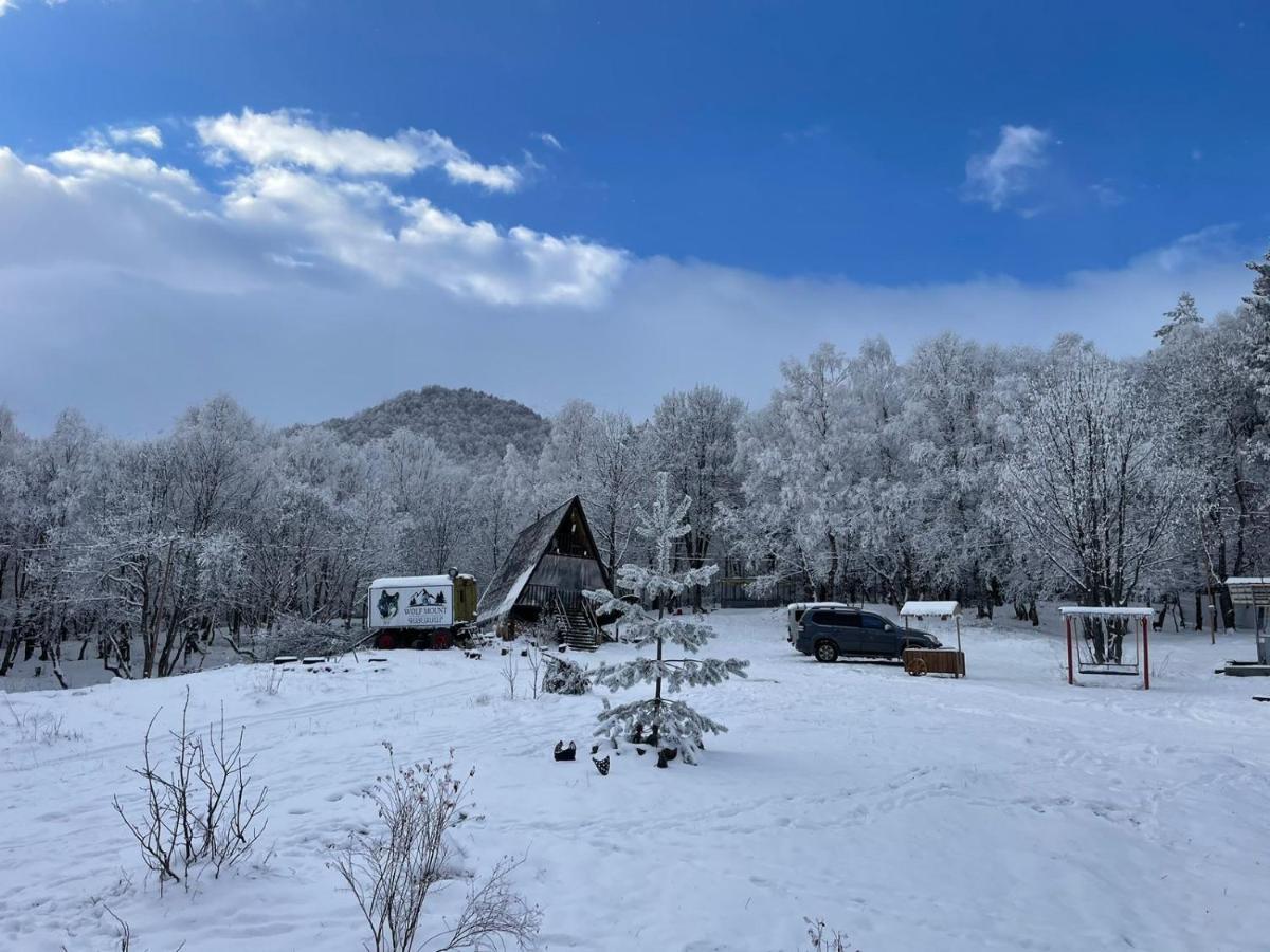 Glamping Wolf Mount Villa Margahovit Eksteriør bilde