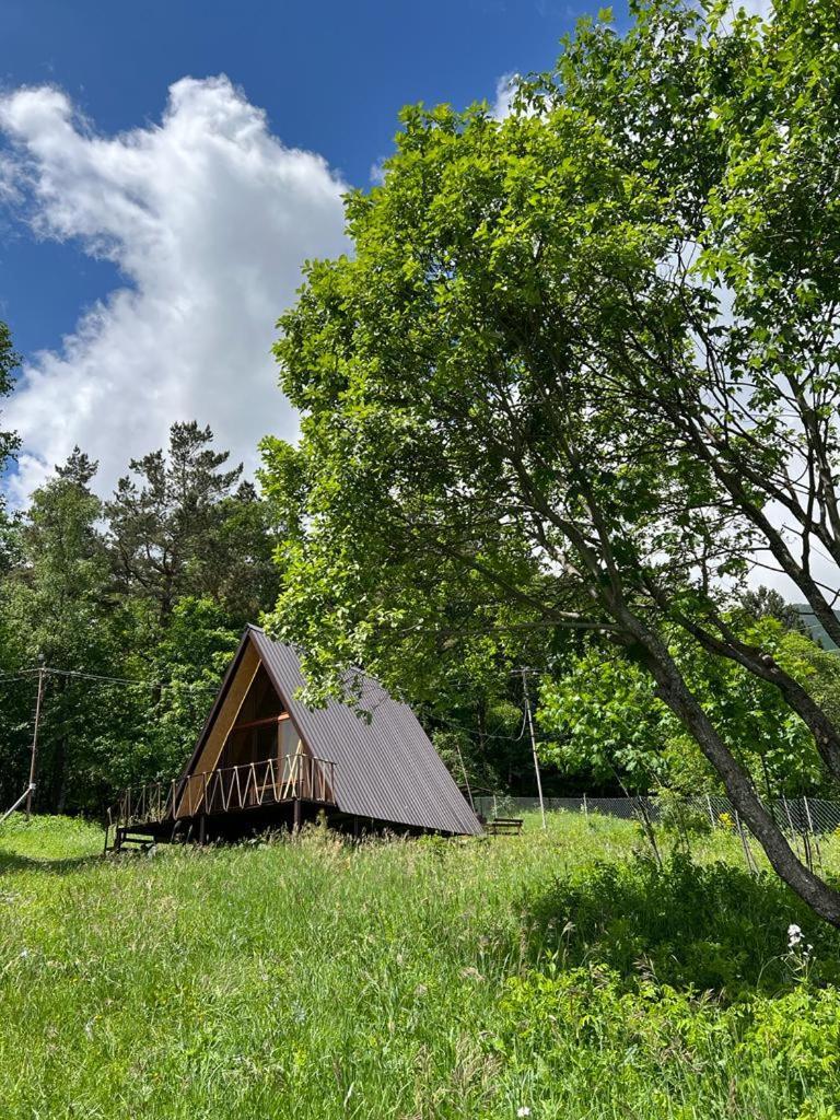 Glamping Wolf Mount Villa Margahovit Rom bilde