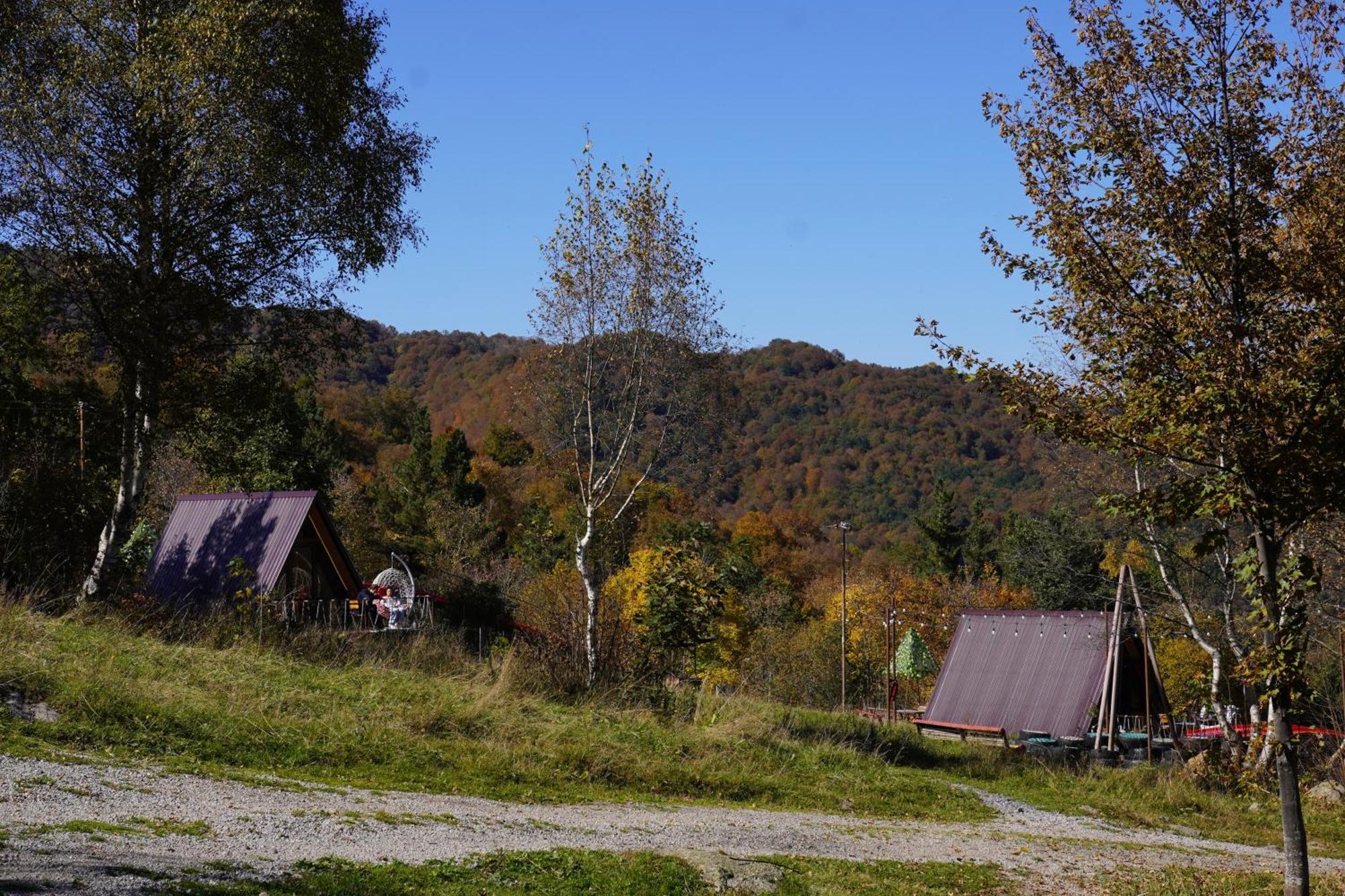 Glamping Wolf Mount Villa Margahovit Eksteriør bilde